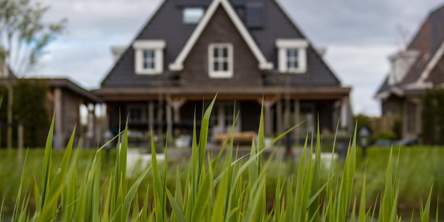 Issue 1: The Life Insurance Loan